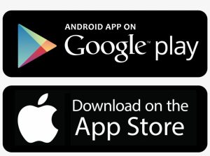 Google Play & App Store